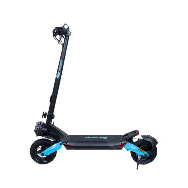 קורקינט חשמלי Gorgeous R1
